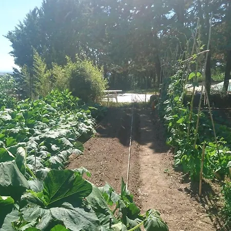 Plf Holidays Corneilhan