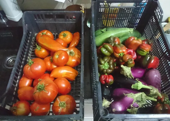 Plf Holidays 度假居